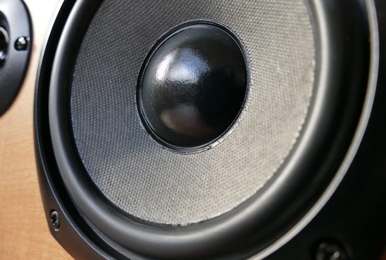 Speaker Image